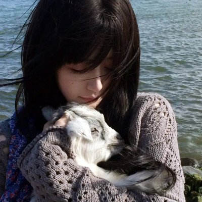 猪扒大联盟